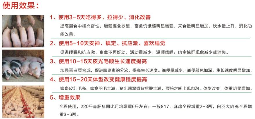 豬催肥劑肥皇金