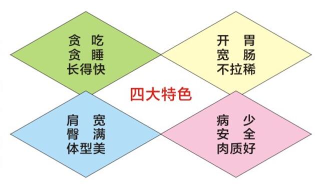 豬催肥劑肥皇金